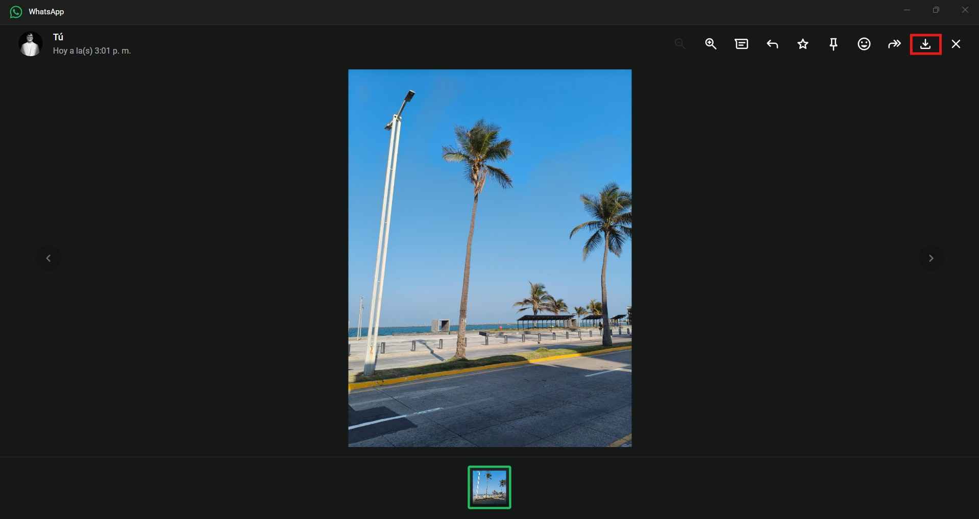 WhatsApp Image Download